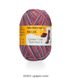 Regia Cotton Color Tutti Frutti, 02423, Виноград, 02423