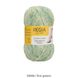 REGIA Cotton Color Springtime Mood, Первая зелень, 04086