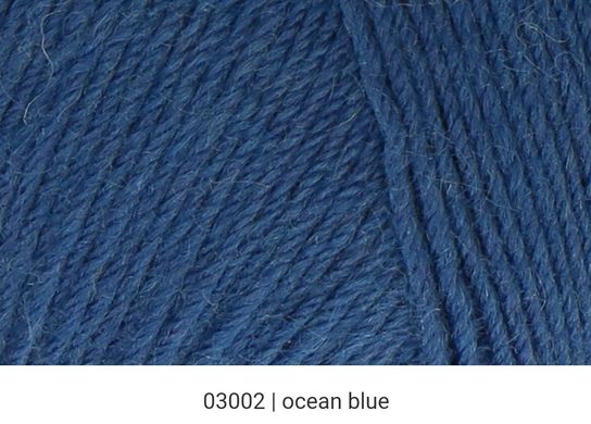 Regia 4-ply Eco Line, Морской синий, 03002